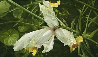 Iris by Elisabeth Kruger, 2000