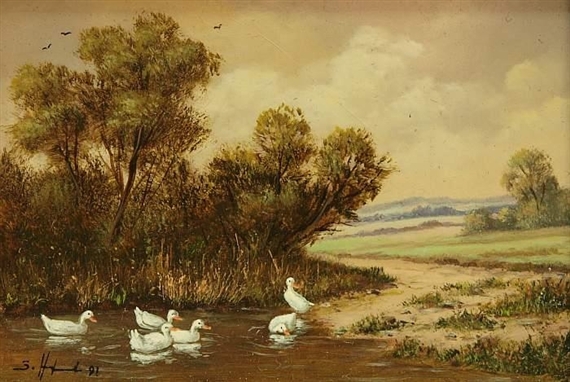 Ducks on the pond in a wide landscape by Siegfried Hafeneder
