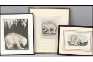 A collection of three framed polar bear illustrations displayed together.