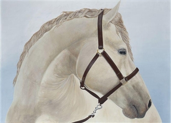 Portrait of Ferrari Cévenole - Monika Swierkos