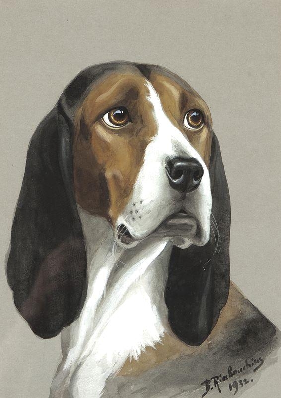 Boris Riab | Dog portrait (1932) | MutualArt