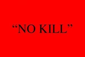 No Kill - Charest Weinberg Gallery