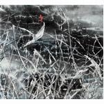 Lanscape - Liu Yiyuan