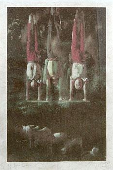 Artwork by Josephine Do, Upside Down 1, Made of inkjet and hand colouring on kozo paper