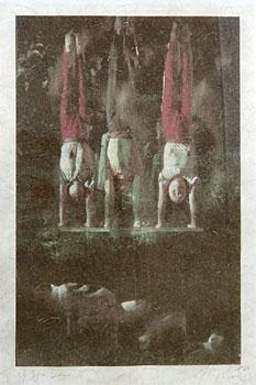 Upside Down 1 - Josephine Do