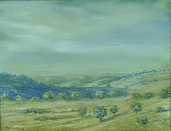 Barrier Ranges - Broken Hill Area - Roy Gundry