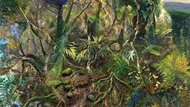 Wild and wondrous