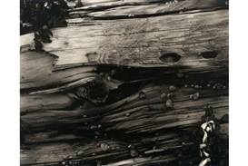 Bruce Silverstein Gallery reunites seven artists to re-examine crucial moment in the history of American art