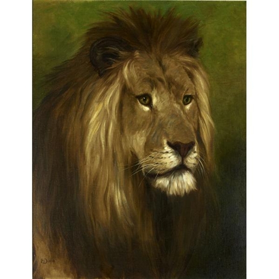 Lion Majesty by Harry Dixon