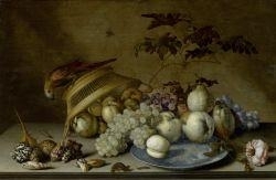 Still life with fruits on a porcelain plate, a parrot on a basket, shells and insects by Balthasar van der Ast