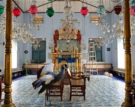 Reviewed: Karen Knorr at Adamson Gallery