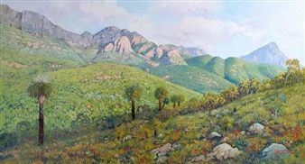 Late Afternoon Stirling Range - David Byard