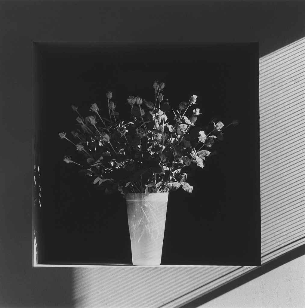 Artwork by Robert Mapplethorpe, Roses, 1986, Made of gelatin silver print, flush-mounted on board