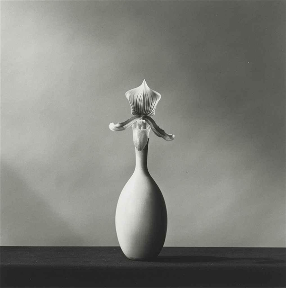 Single Orchid, 1982