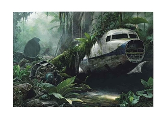Jungle Scene With Plane Wreck - Jonathan Wateridge