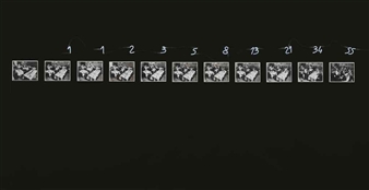 A minimalist black-and-white diptych featuring a row of small framed photographs with handwritten numbers above.