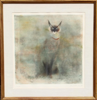 Chat Vert Picture