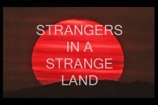 Strangers in a strange land - LMAKgallery 