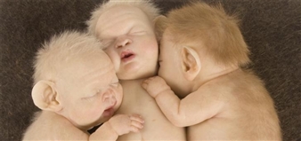 Patricia Piccinini - Haunch of Venison, London