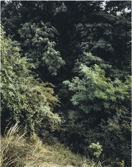 Krefeld 1989 by Andreas Gursky, 1998-2000