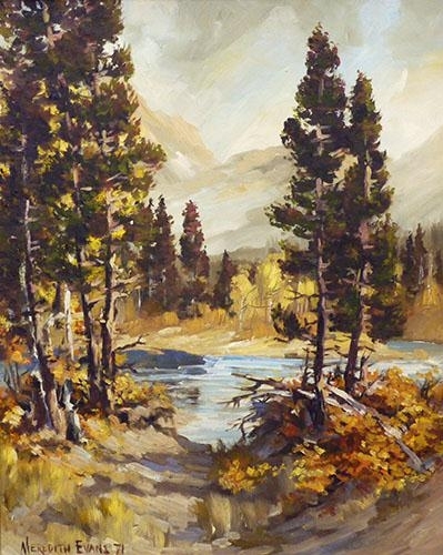 Yara Creek Forest Reserve by Meredith Evans, 1971