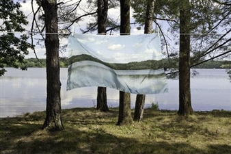 Suspended - Keith Sharp