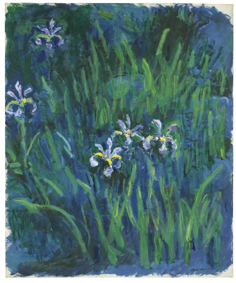 IRIS by Claude Monet, 1914-1917