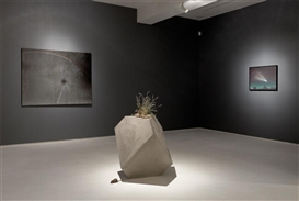 Third solo exhibition with Joseph Smolinski opens at Mixed Greens
