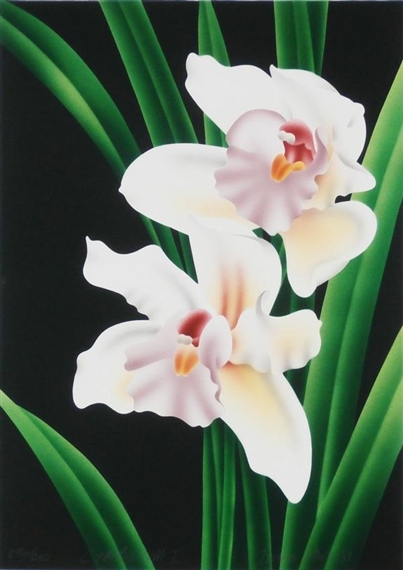 5 WORKS: CYMBIDIUM I by Brian Davis, 1981