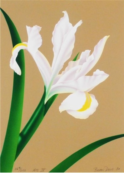 8 WORKS: IRIS IV & UNTITLED by Brian Davis, 1980