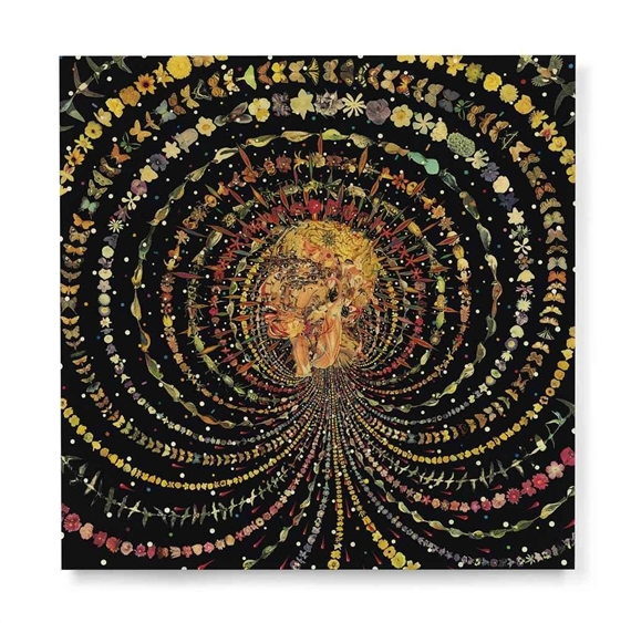 Breathing Head by Fred Tomaselli, 2002