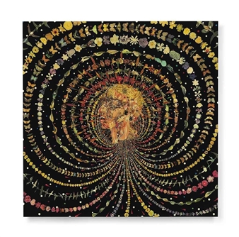 Breathing Head - Fred Tomaselli