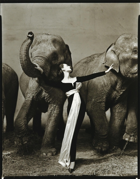 Dovima with elephants, evening dress by Dior, Cirque d'Hiver, Paris by Richard Avedon, 1955, printed 1977