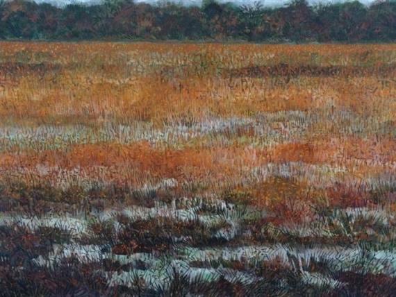 The Golden Marsh by Gabor Peterdi, 1985