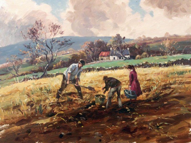 Donal McNaughton | Digging Spuds | MutualArt