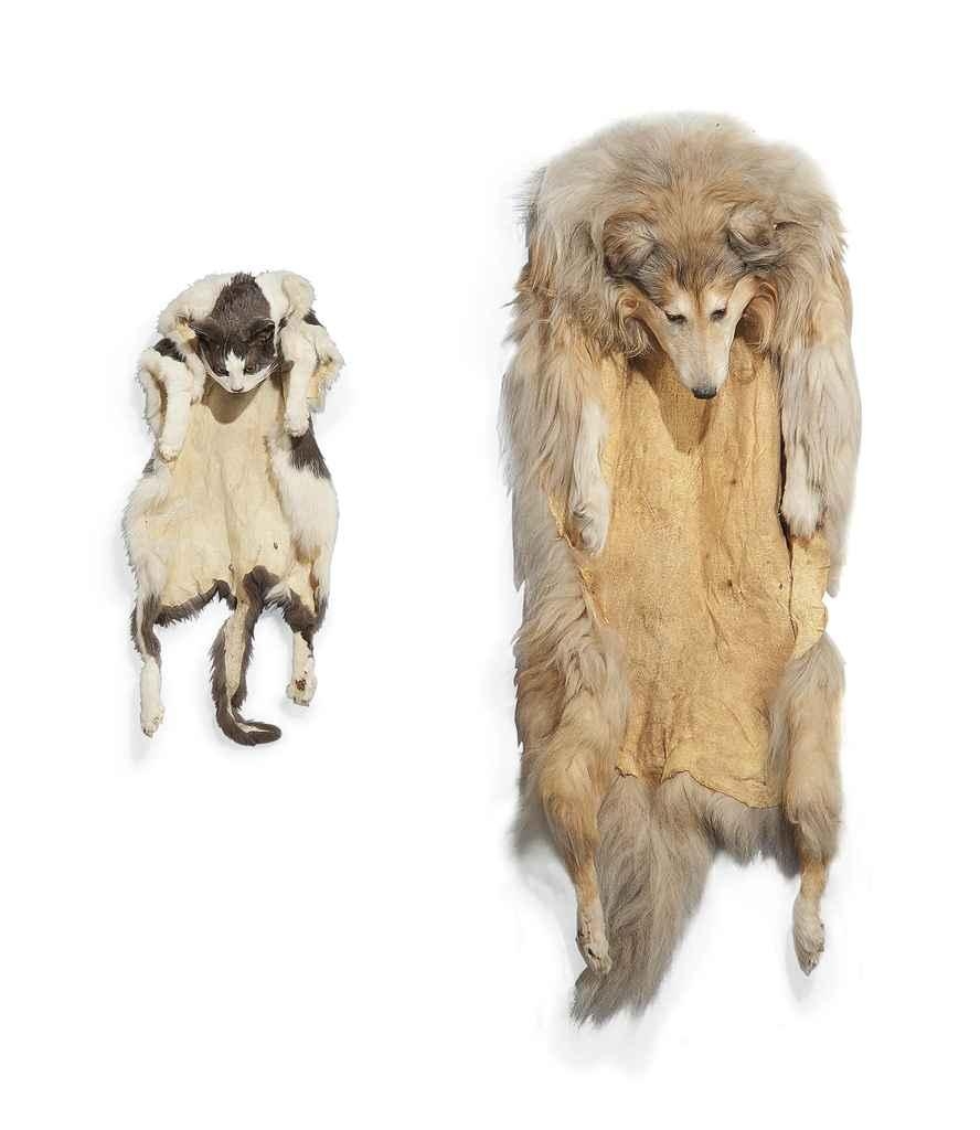 Artwork by Jordan Baseman, The Cat and the Dog, Made of cat and dog skins with modelled heads