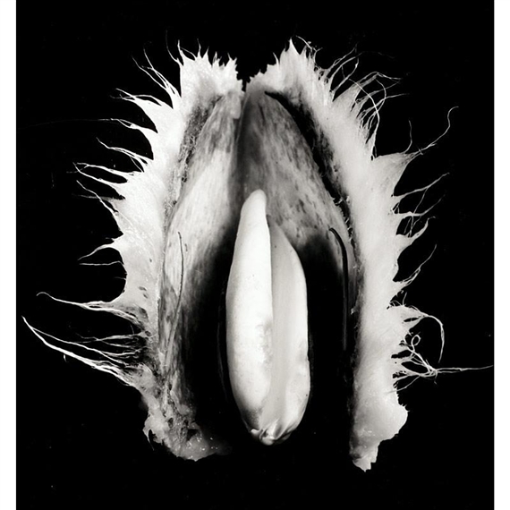 Untitled by Elfriede Mejchar, 1988