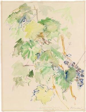 Artwork by Oskar Kokoschka, Vine tendril with grape, Made of watercolour on paper