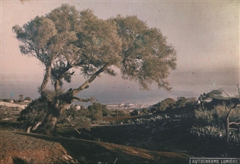 LA CIOTAT - Louis Lumière