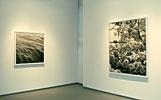 Joseph Stashkevetch - Von Lintel Gallery, New York