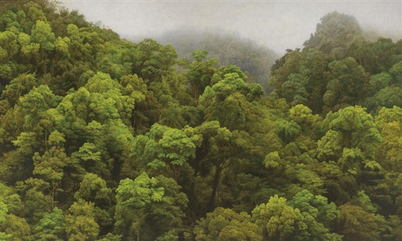 Mountain by Lao River, Hualien, Rain Shower by Tzu-Chi Yeh, 2012