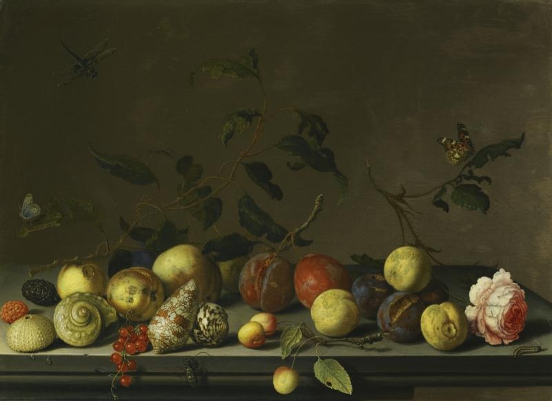 Artwork by Balthasar van der Ast, A STILL LIFE OF FRUIT AND SHELLS WITH A ROSE AND VARIOUS INSECTS UPON A..., Made of Oil on panel