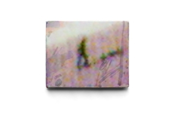 Thomas Bogaert: The Paris objects