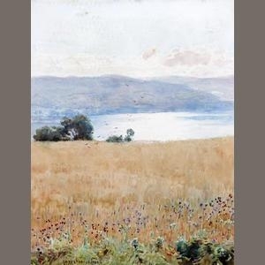 Early Morning, Ripe Oats, Coniston by Alfred Heaton Cooper