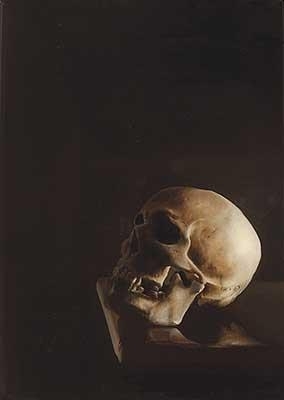 The Platform by Sam Leach, 2007