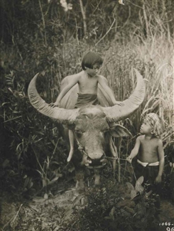 Lah Dah, Nah and Water Buffalo, Siam - Ernest B. Schoedsack