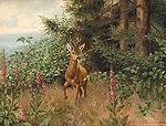 Deer in forest by Friedrich Reimann