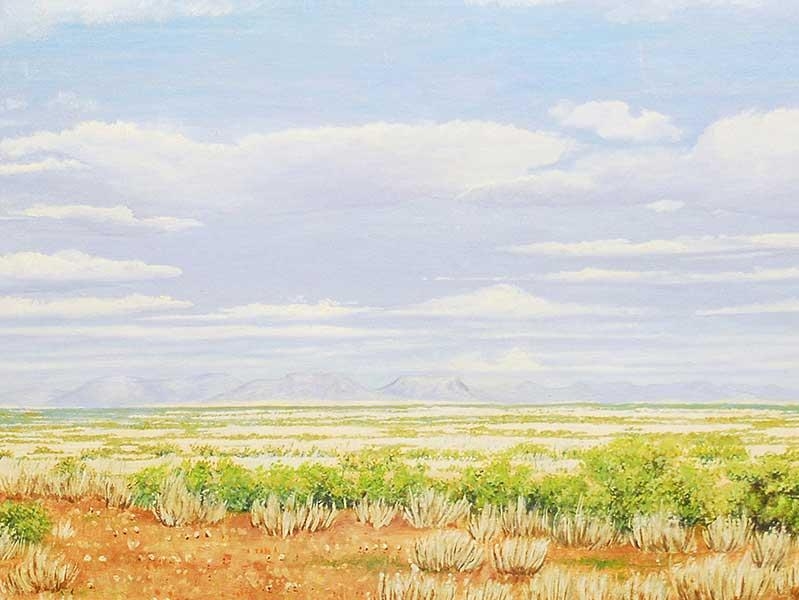 John Louw Karoo MutualArt