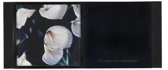 4 Works: Der Anfang der Vergangenheit by Marie-Jo Lafontaine, 1990