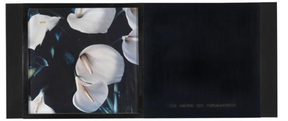 Artwork by Marie-Jo Lafontaine, 4 Works: Der Anfang der Vergangenheit, Made of Color photograph, aluminum plate, lacquered wood, bronze letters